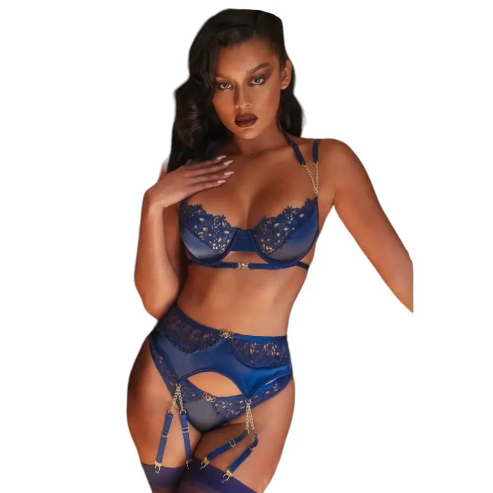Dreams Agor Fantasy Wear tamnoplavi seksi čipkani grudnjaci i jartijer set
